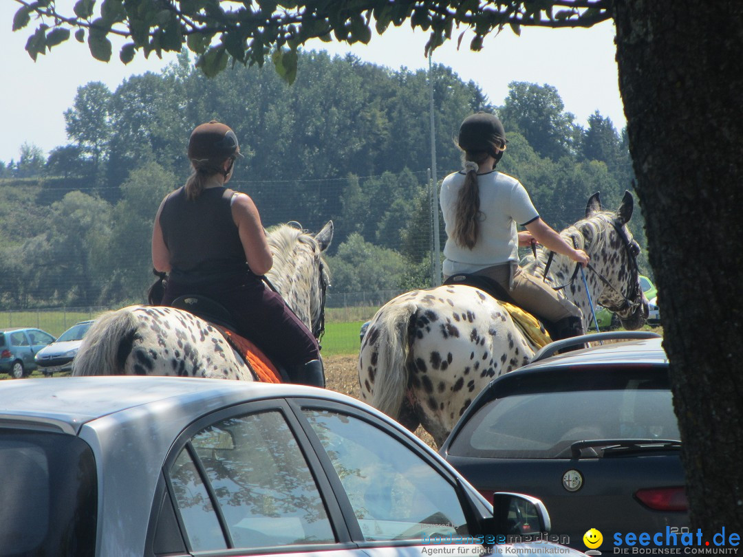 Westernreiter D-Turnier: Aach-Linz am Bodensee, 18.08.2013