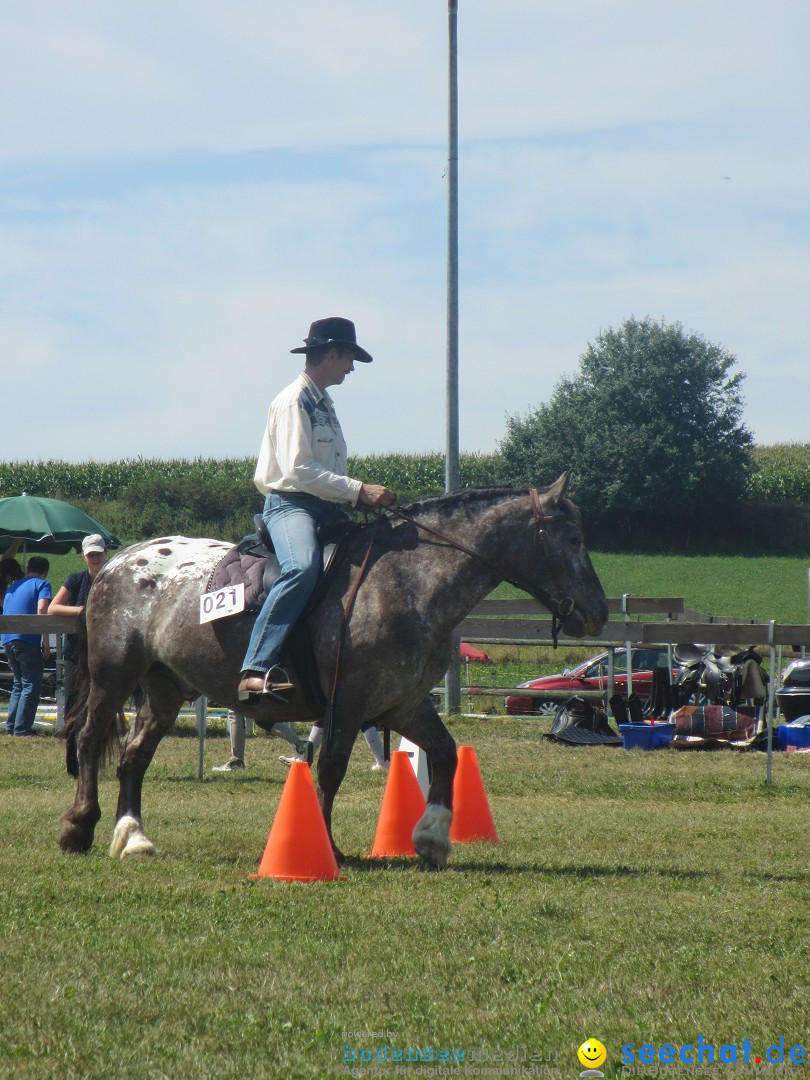 Westernreiter D-Turnier: Aach-Linz am Bodensee, 18.08.2013