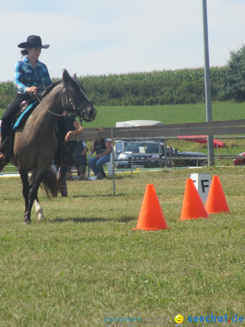 Westernreiter D-Turnier: Aach-Linz am Bodensee, 18.08.2013