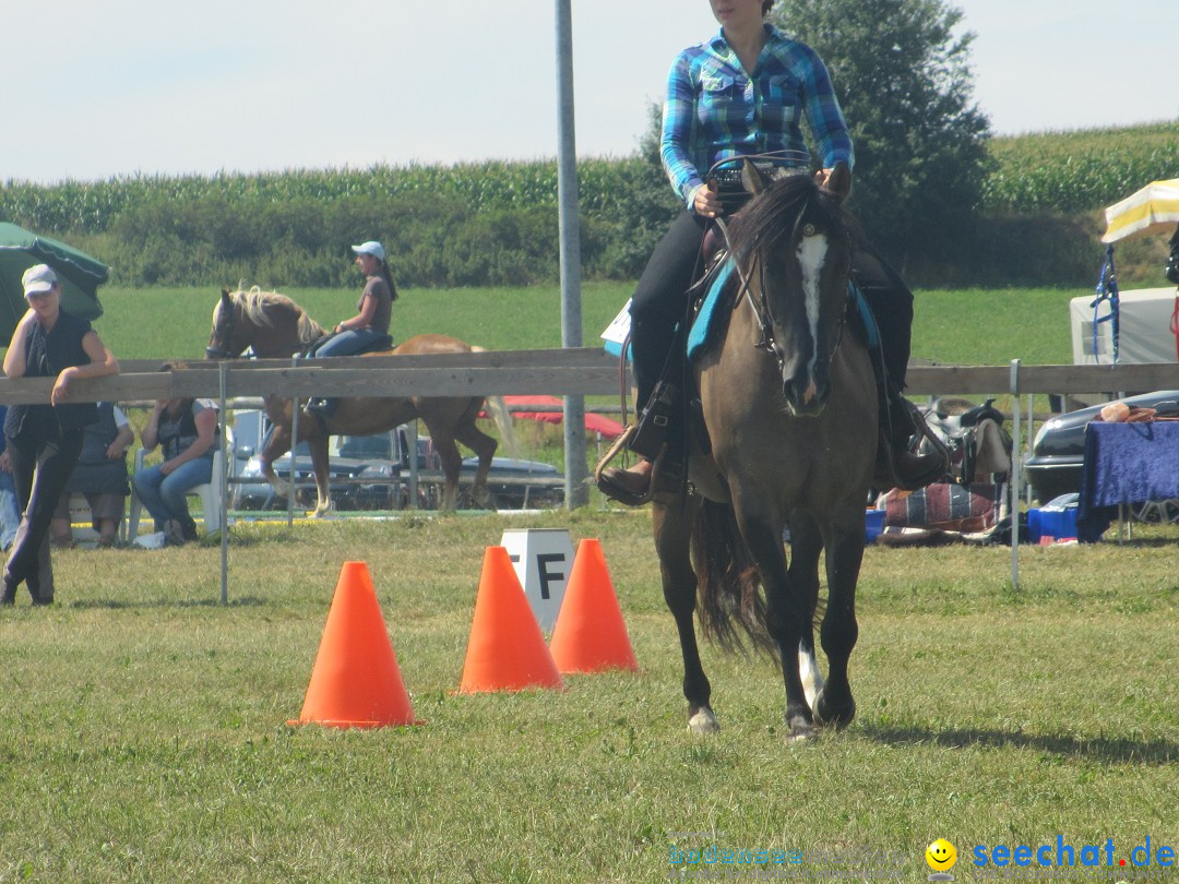 Westernreiter D-Turnier: Aach-Linz am Bodensee, 18.08.2013