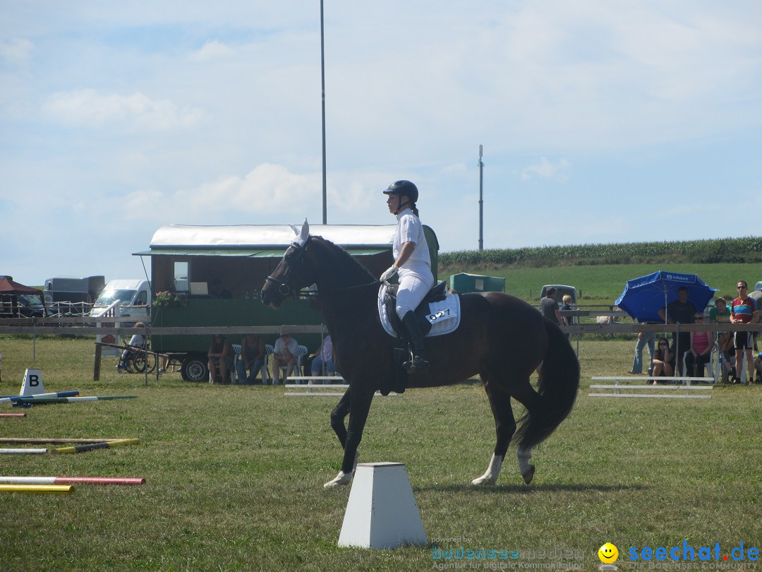 Westernreiter D-Turnier: Aach-Linz am Bodensee, 18.08.2013