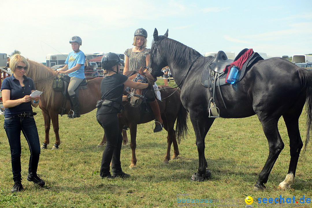 Westernreiter D-Turnier: Aach-Linz am Bodensee, 18.08.2013