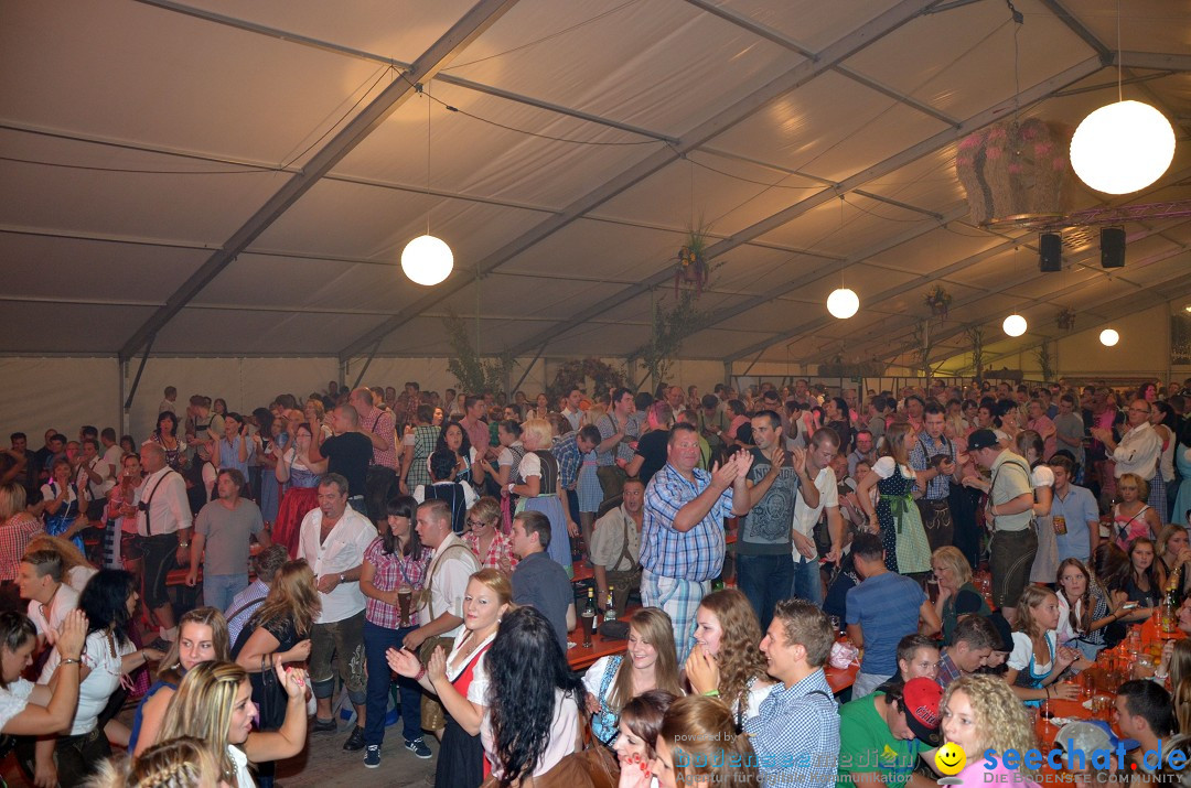 Bohlinger Sichelhenke - Partyband Freibier: Singen am Bodensee, 24.08.2013