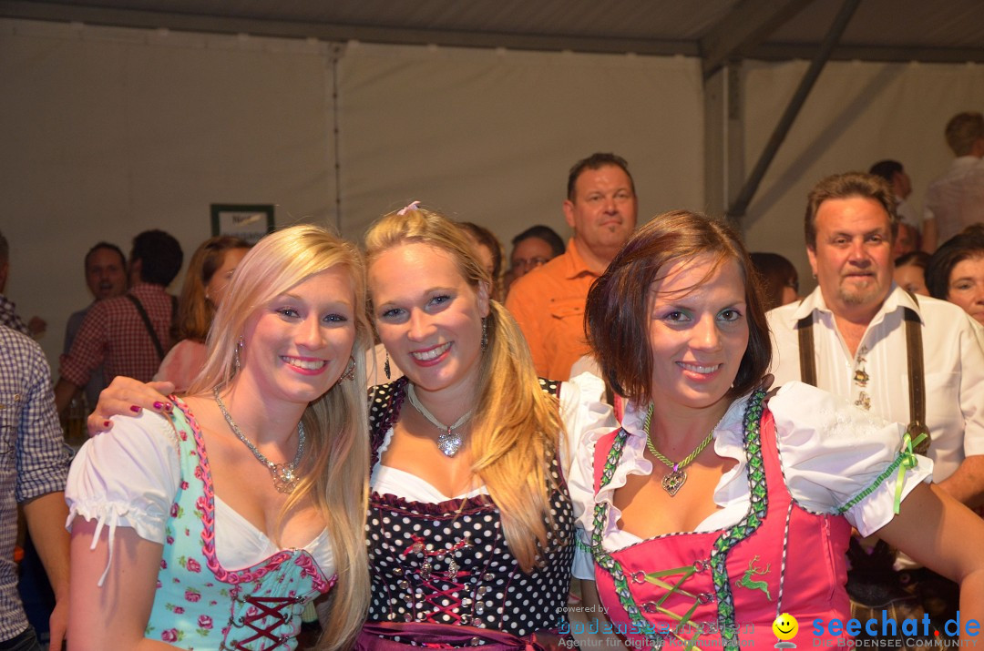 Bohlinger Sichelhenke - Partyband Freibier: Singen am Bodensee, 24.08.2013