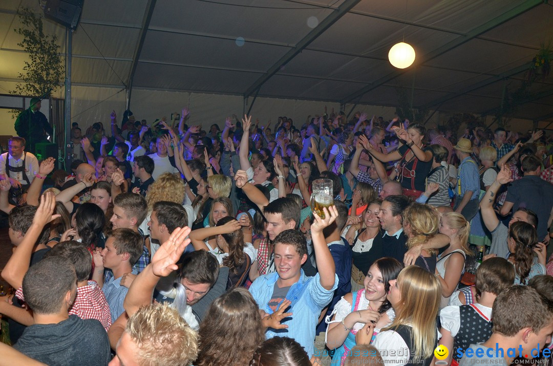 Bohlinger Sichelhenke - Partyband Freibier: Singen am Bodensee, 24.08.2013