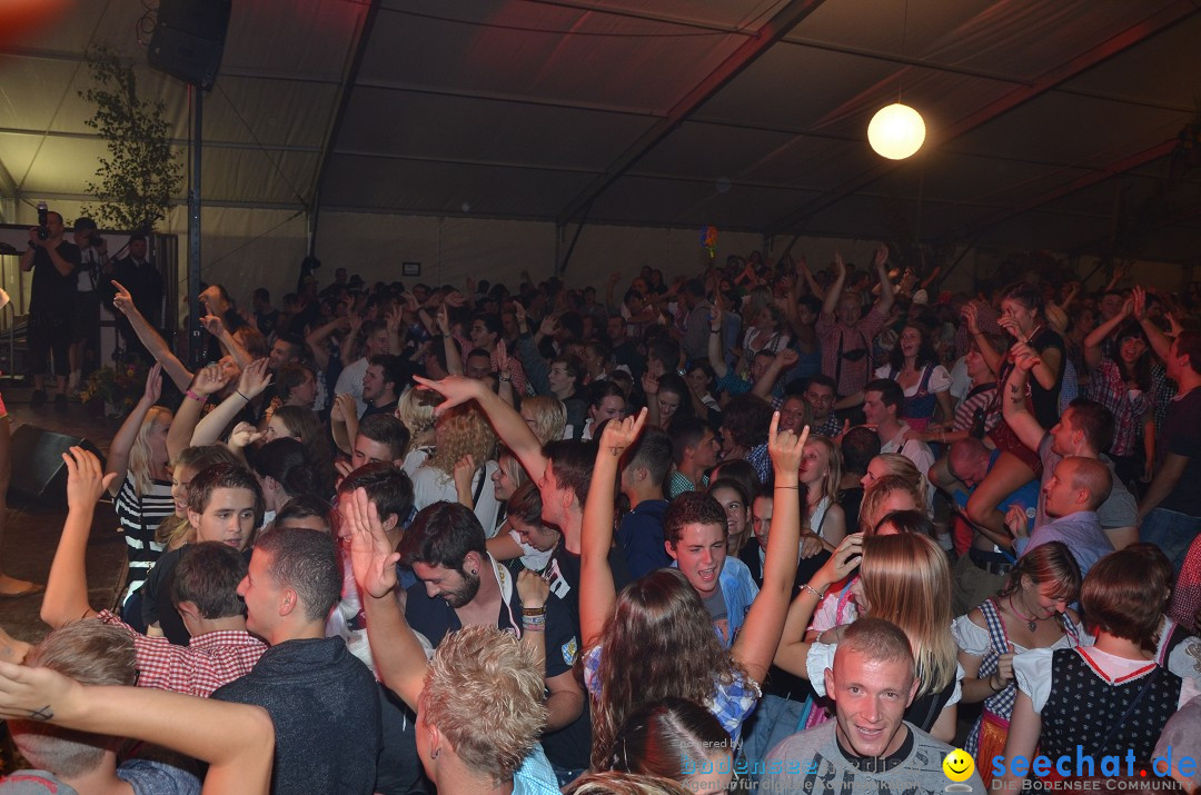 Bohlinger Sichelhenke - Partyband Freibier: Singen am Bodensee, 24.08.2013