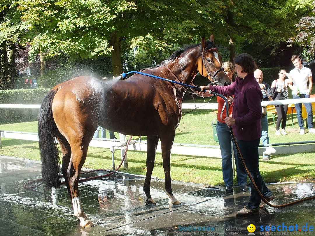 Pferderennen auf Galopprennbahn Iffezheim: Baden-Baden, 25.08.2013