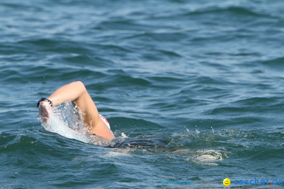 Bodenseequerung: Bruno Baumgartner: Bregenz am Bodensee, 30.08.2013