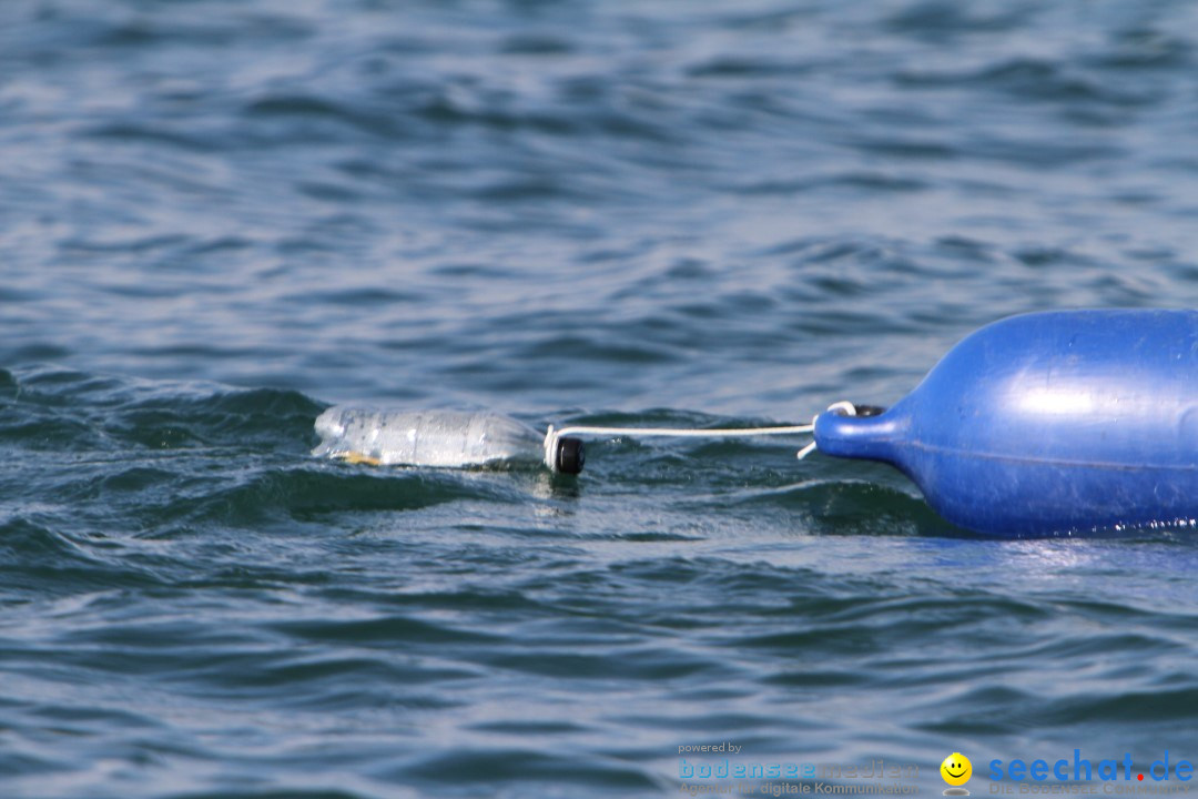 Bodenseequerung: Bruno Baumgartner: Bregenz am Bodensee, 30.08.2013