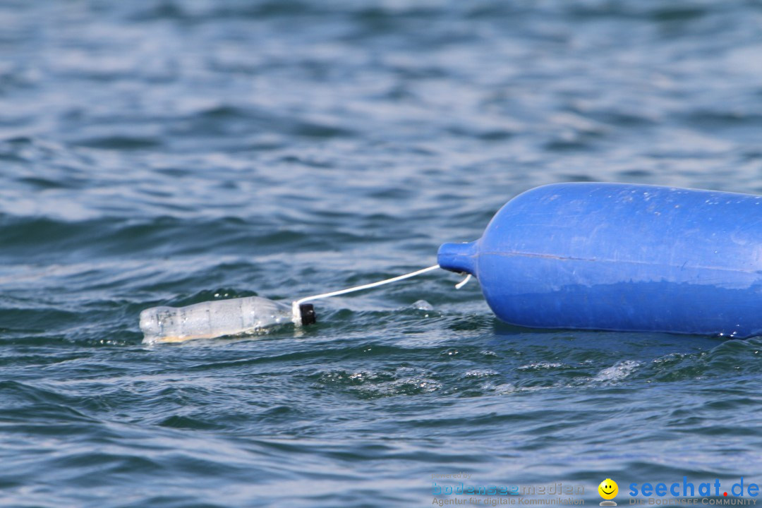 Bodenseequerung: Bruno Baumgartner: Bregenz am Bodensee, 30.08.2013