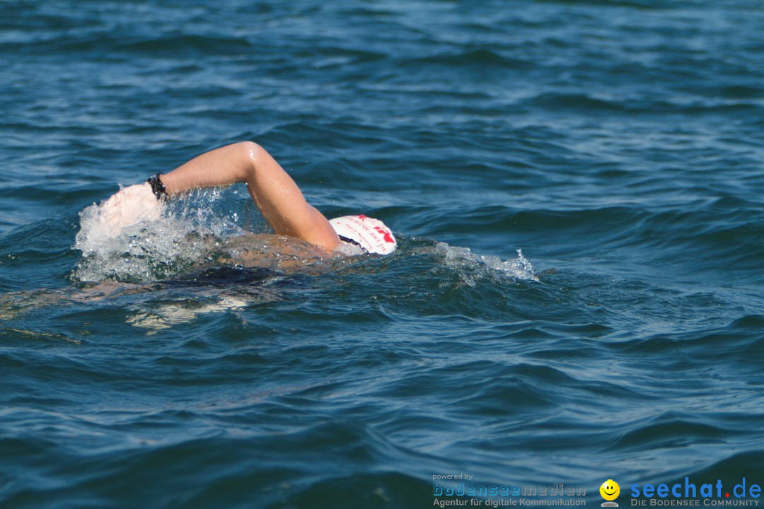 Bodenseequerung: Bruno Baumgartner: Bregenz am Bodensee, 30.08.2013