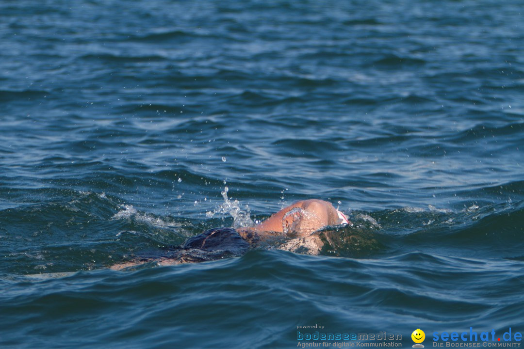 Bodenseequerung: Bruno Baumgartner: Bregenz am Bodensee, 30.08.2013