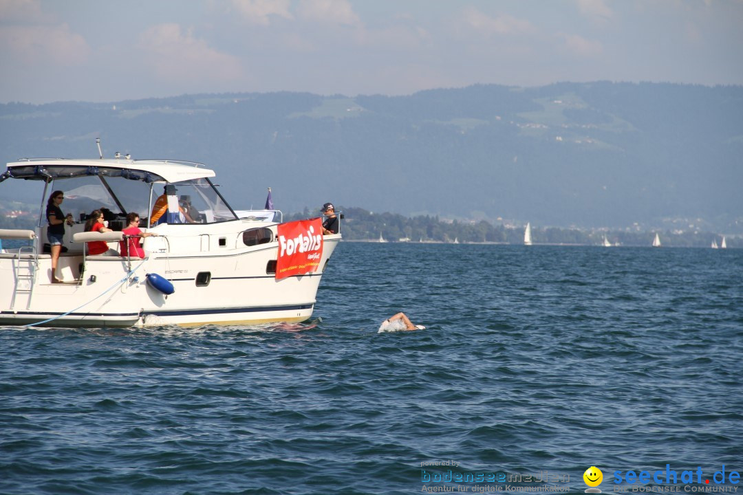 Bodenseequerung: Bruno Baumgartner: Bregenz am Bodensee, 30.08.2013