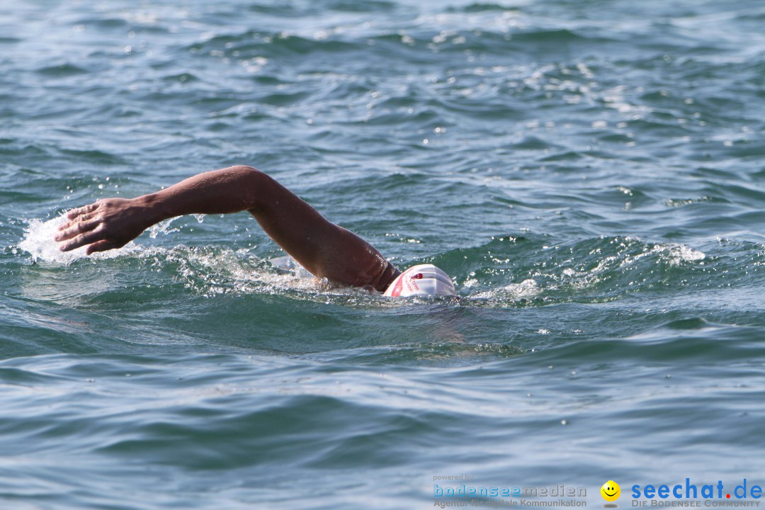 Bodenseequerung: Bruno Baumgartner: Bregenz am Bodensee, 30.08.2013