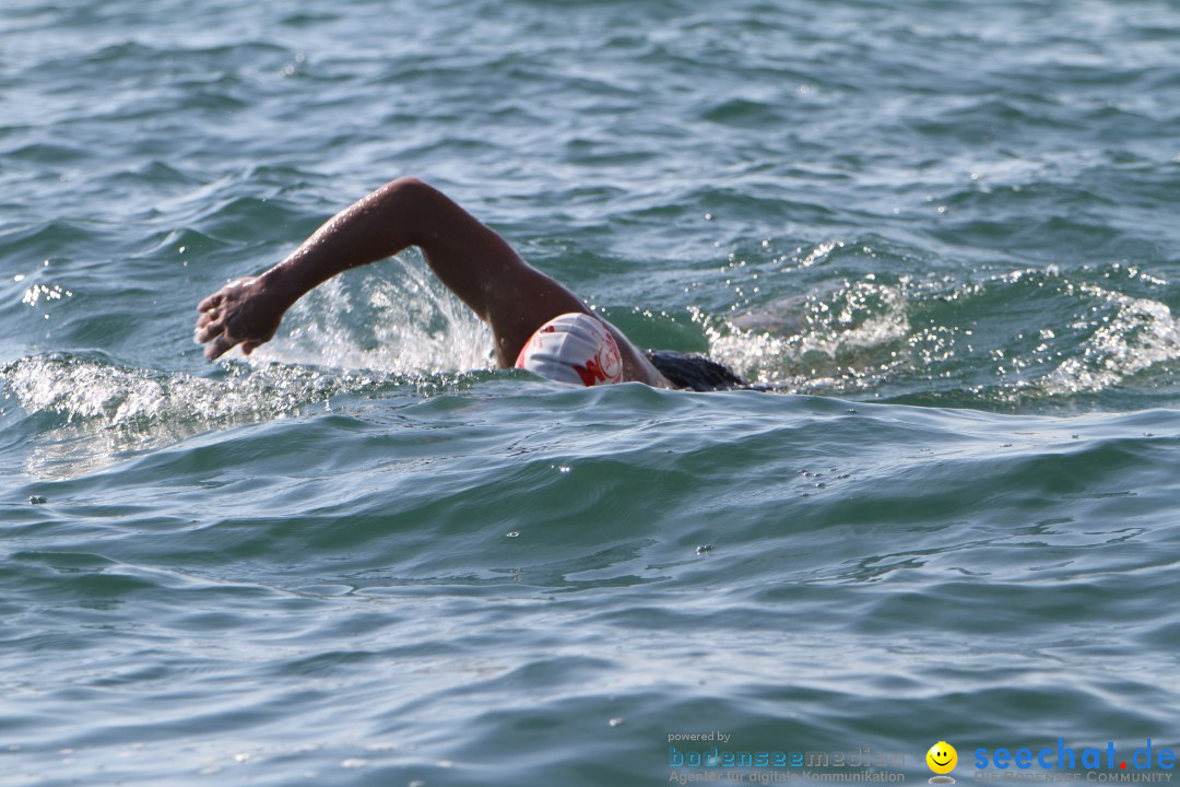 Bodenseequerung: Bruno Baumgartner: Bregenz am Bodensee, 30.08.2013