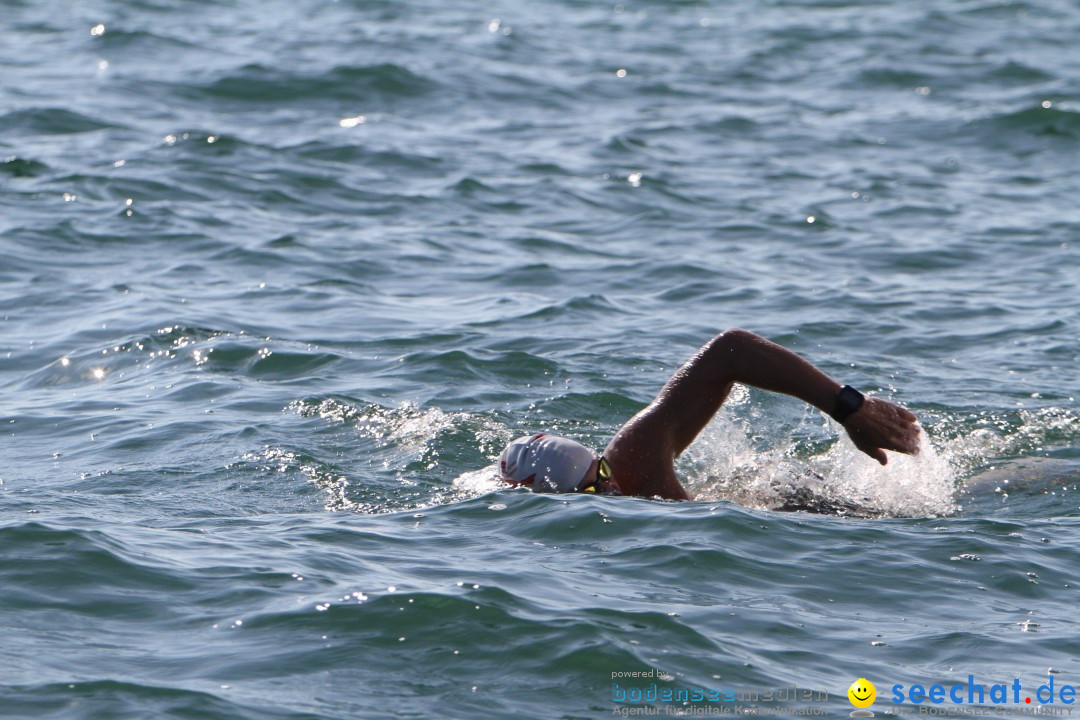 Bodenseequerung: Bruno Baumgartner: Bregenz am Bodensee, 30.08.2013