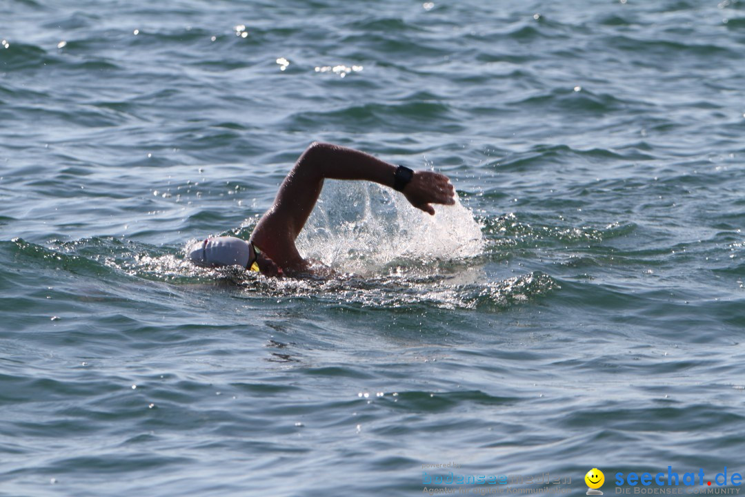 Bodenseequerung: Bruno Baumgartner: Bregenz am Bodensee, 30.08.2013