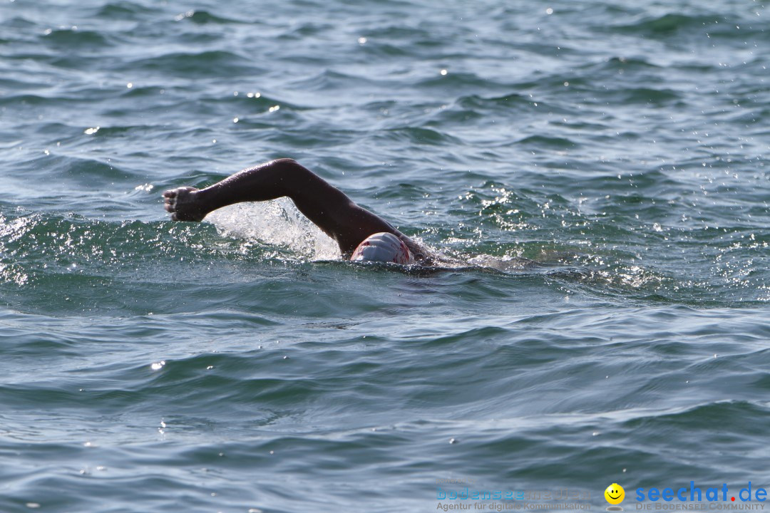 Bodenseequerung: Bruno Baumgartner: Bregenz am Bodensee, 30.08.2013