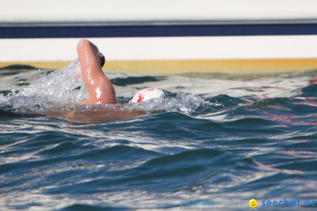 Bodenseequerung: Bruno Baumgartner: Bregenz am Bodensee, 30.08.2013