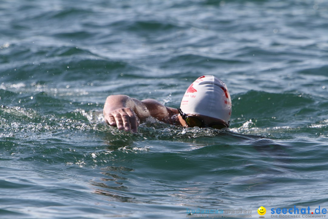 Bodenseequerung: Bruno Baumgartner: Bregenz am Bodensee, 30.08.2013