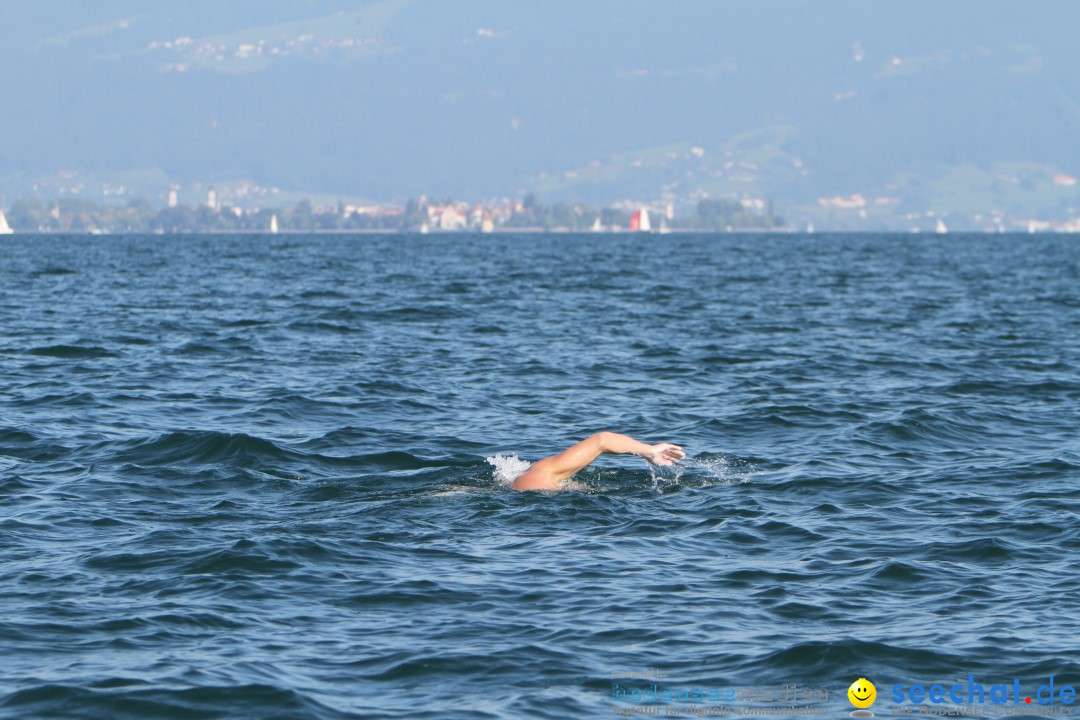 Bodenseequerung: Bruno Baumgartner: Bregenz am Bodensee, 30.08.2013