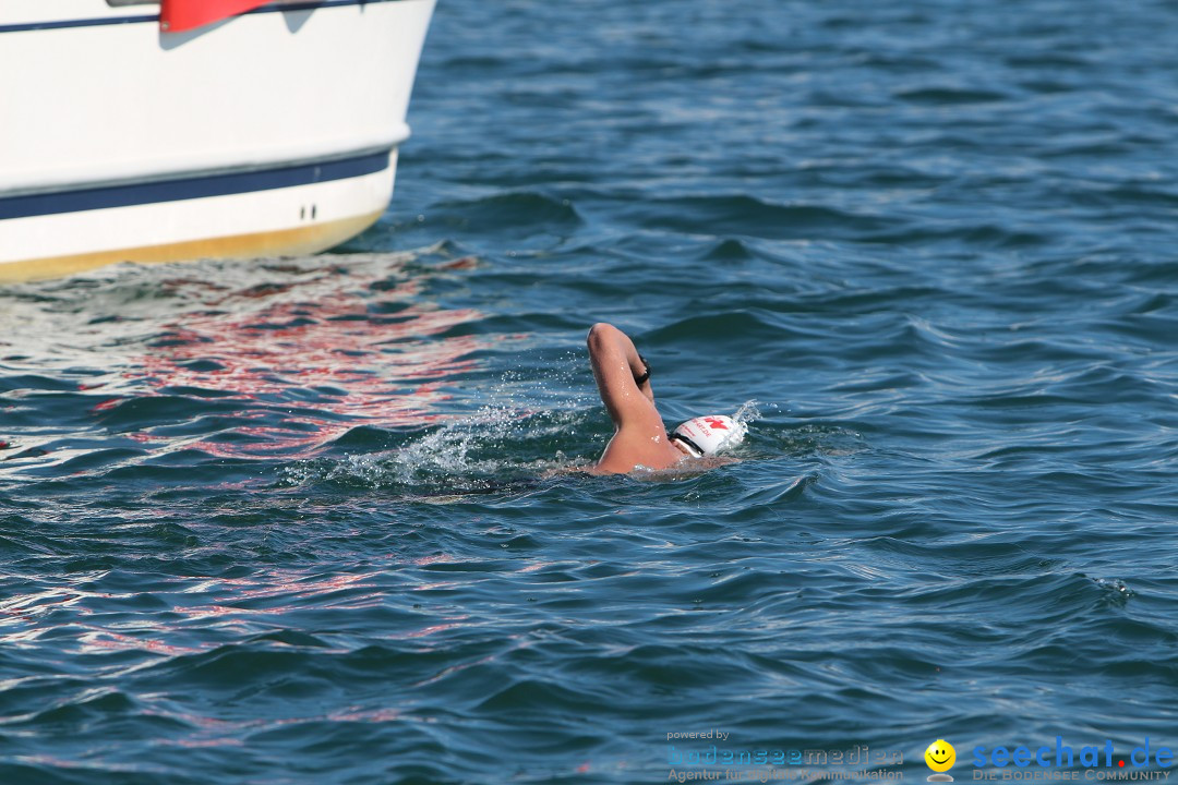 Bodenseequerung: Bruno Baumgartner: Bregenz am Bodensee, 30.08.2013