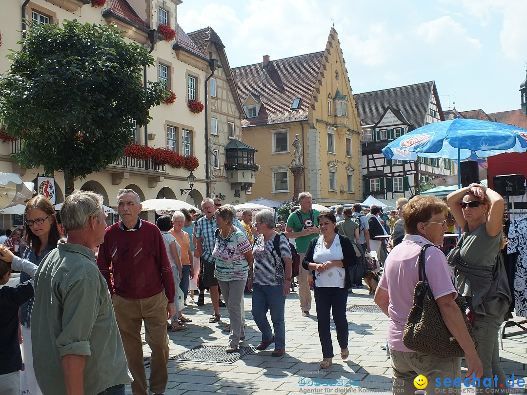 Sigmaringen-Flohmarkt-130831-31-08-2013-Bodensee-Community-SEECHAT_de-DSCF2085.JPG