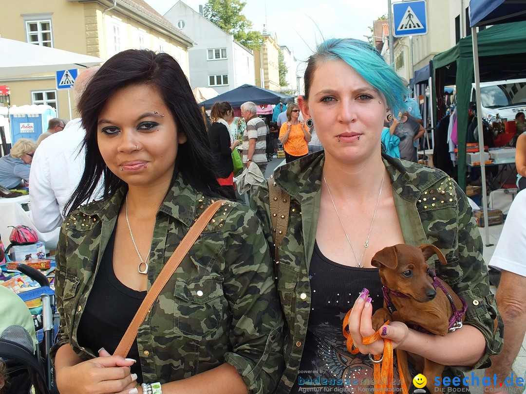 Sigmaringen-Flohmarkt-130831-31-08-2013-Bodensee-Community-SEECHAT_de-DSCF2230.JPG