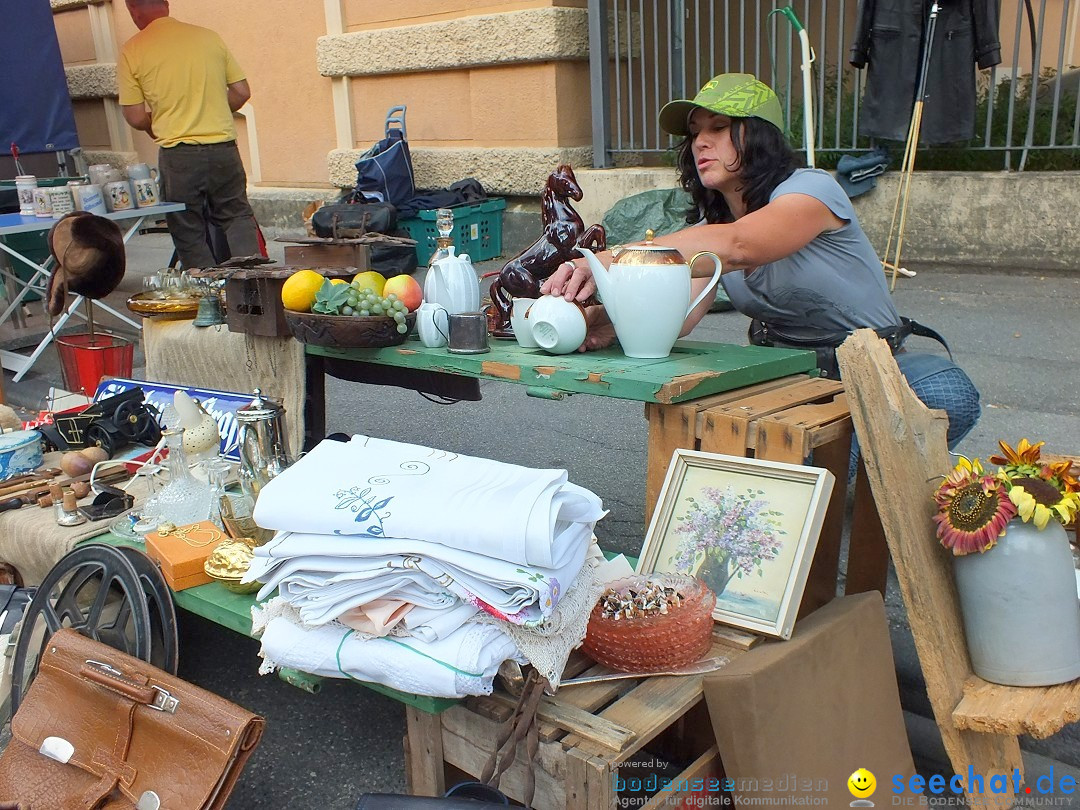 Sigmaringen-Flohmarkt-130831-31-08-2013-Bodensee-Community-SEECHAT_de-DSCF2249.JPG