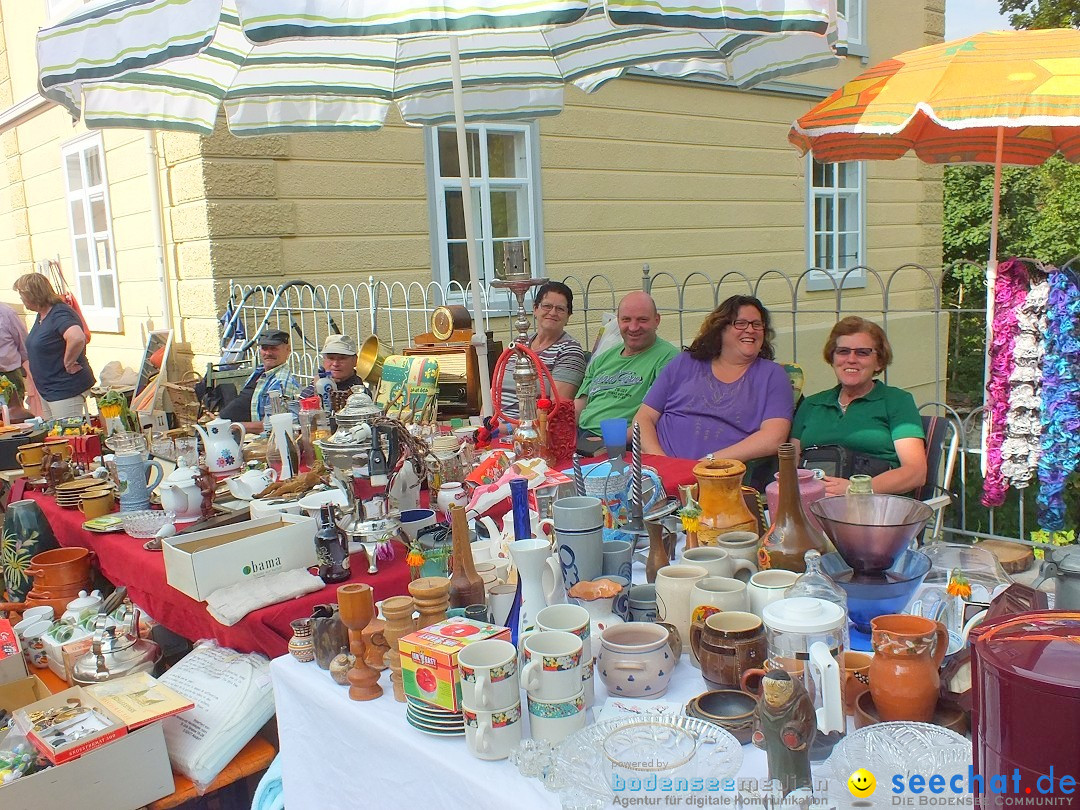 Sigmaringen-Flohmarkt-130831-31-08-2013-Bodensee-Community-SEECHAT_de-DSCF2256.JPG