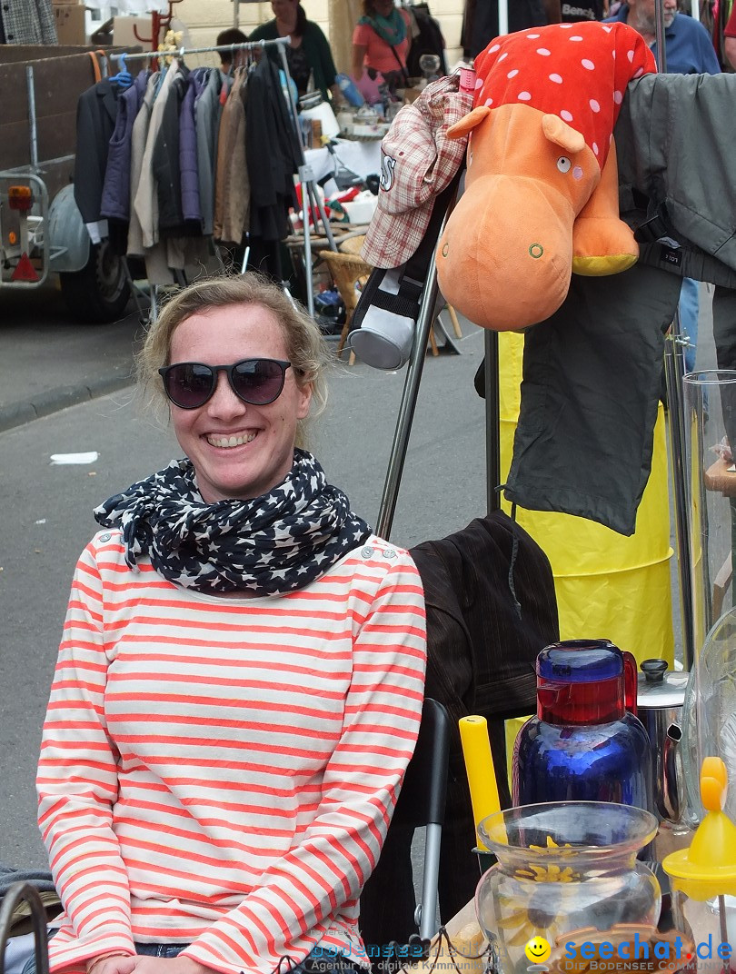 Sigmaringen-Flohmarkt-130831-31-08-2013-Bodensee-Community-SEECHAT_de-DSCF2262.JPG