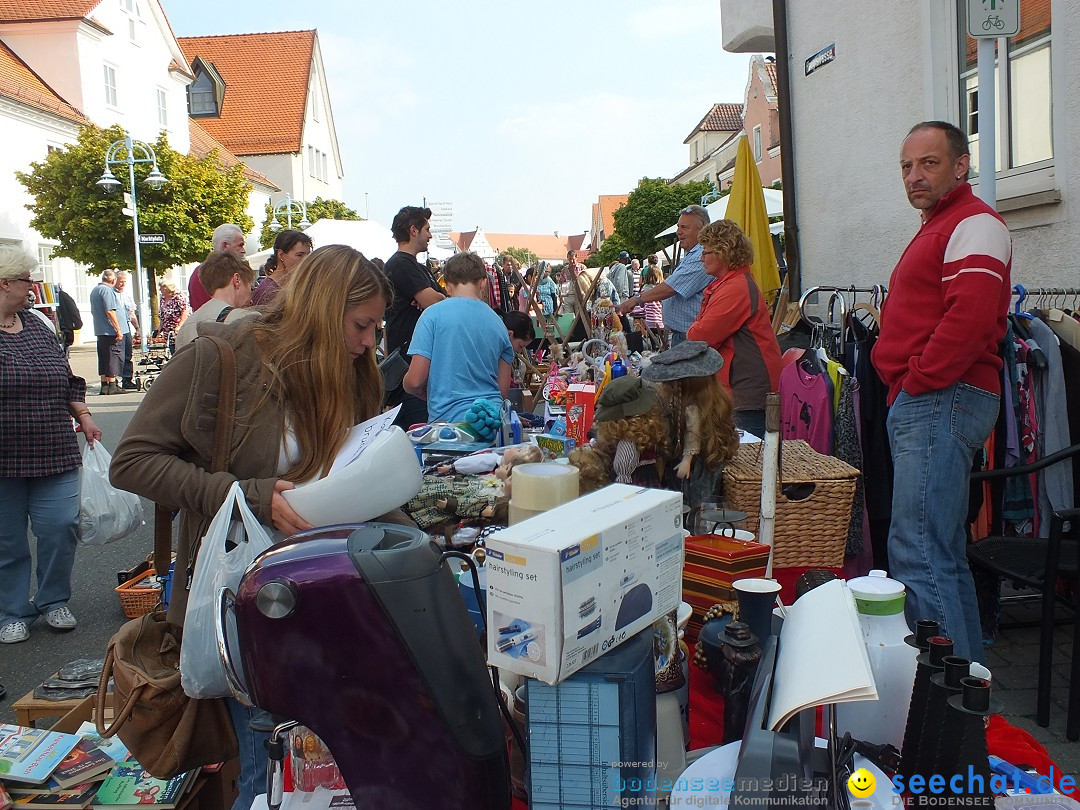 Herbstfest mit Flohmarkt: Bad-Buchau am Bodensee, 31.08.2013