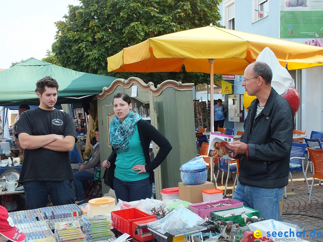 Herbstfest mit Flohmarkt: Bad-Buchau am Bodensee, 31.08.2013