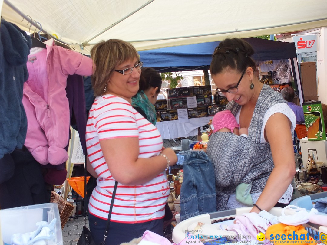 Herbstfest mit Flohmarkt: Bad-Buchau am Bodensee, 31.08.2013