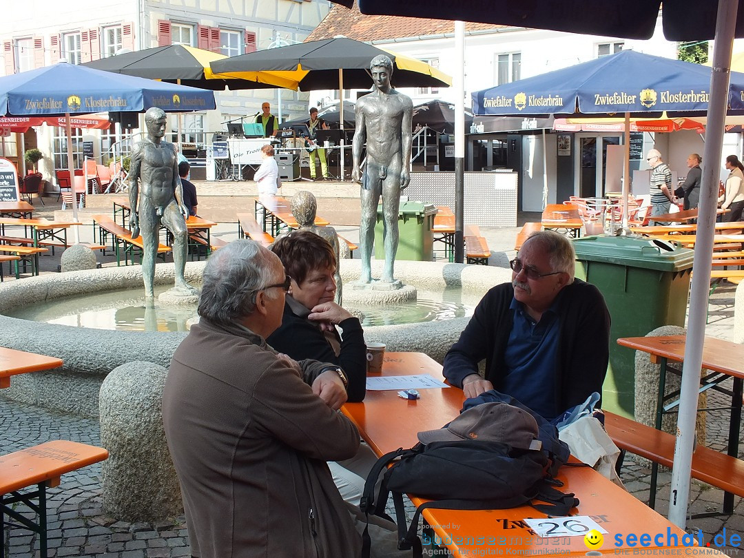 Herbstfest mit Flohmarkt: Bad-Buchau am Bodensee, 31.08.2013