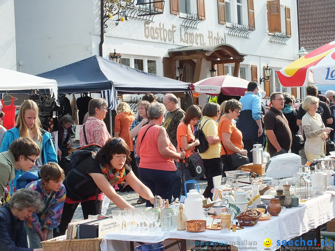 Herbstfest mit Flohmarkt: Bad-Buchau am Bodensee, 31.08.2013