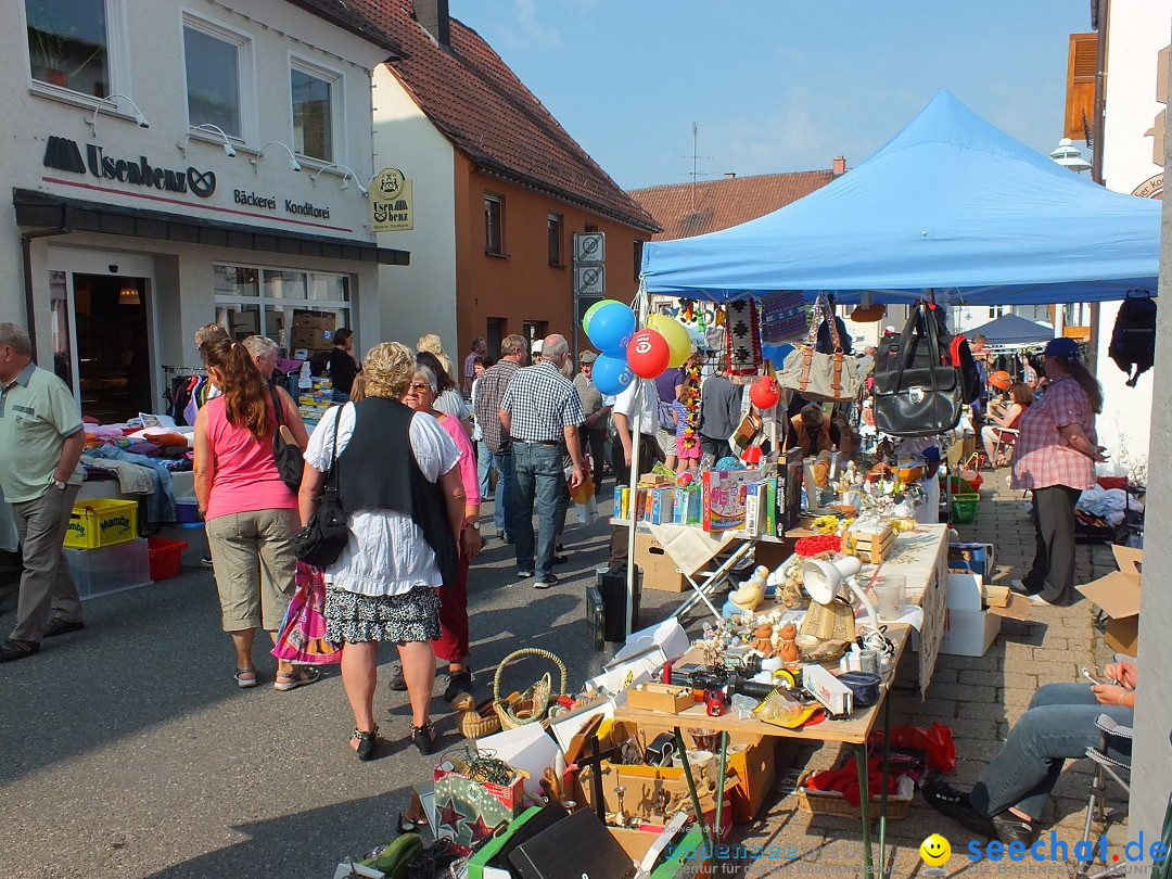 Herbstfest mit Flohmarkt: Bad-Buchau am Bodensee, 31.08.2013