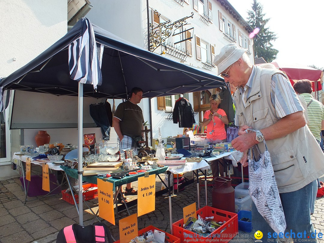 Herbstfest mit Flohmarkt: Bad-Buchau am Bodensee, 31.08.2013