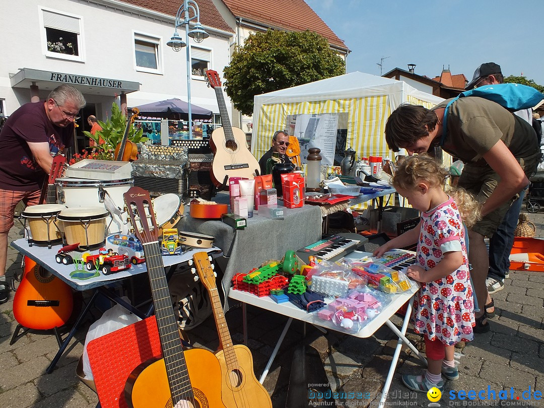 Herbstfest mit Flohmarkt: Bad-Buchau am Bodensee, 31.08.2013