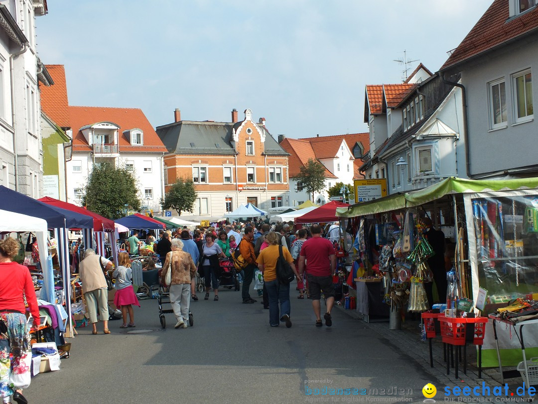 Herbstfest mit Flohmarkt: Bad-Buchau am Bodensee, 31.08.2013