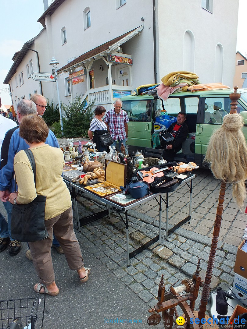 Herbstfest mit Flohmarkt: Bad-Buchau am Bodensee, 31.08.2013