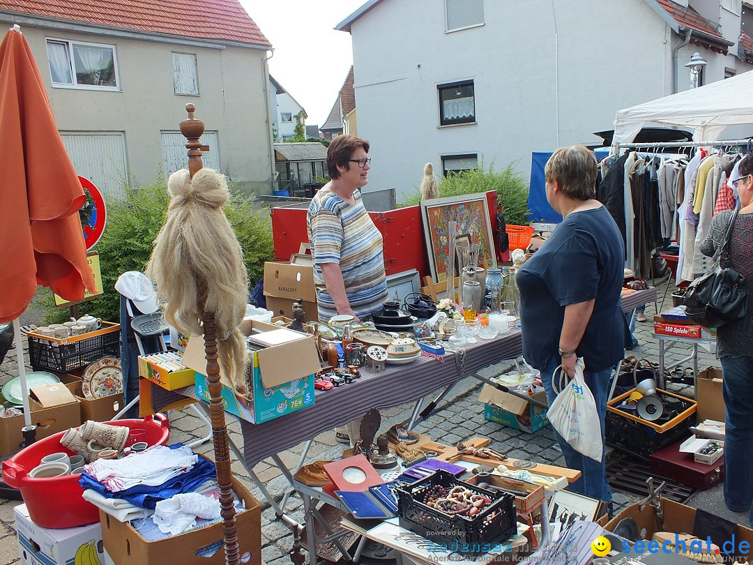 Herbstfest mit Flohmarkt: Bad-Buchau am Bodensee, 31.08.2013