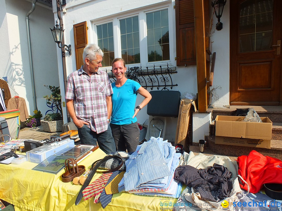 Herbstfest mit Flohmarkt: Bad-Buchau am Bodensee, 31.08.2013