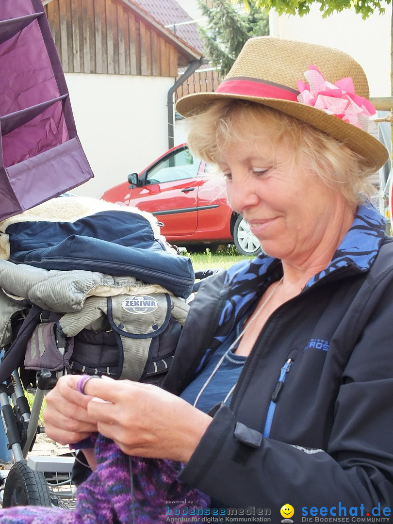 Herbstfest mit Flohmarkt: Bad-Buchau am Bodensee, 31.08.2013