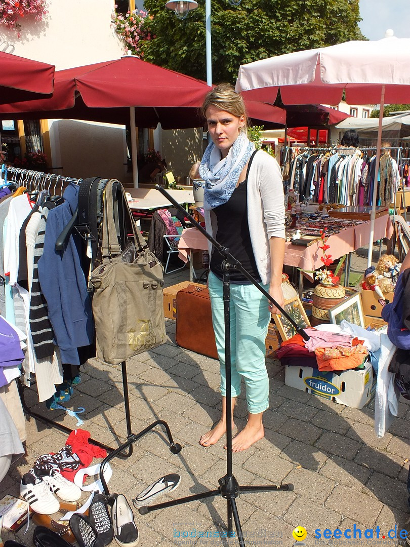 Herbstfest mit Flohmarkt: Bad-Buchau am Bodensee, 31.08.2013