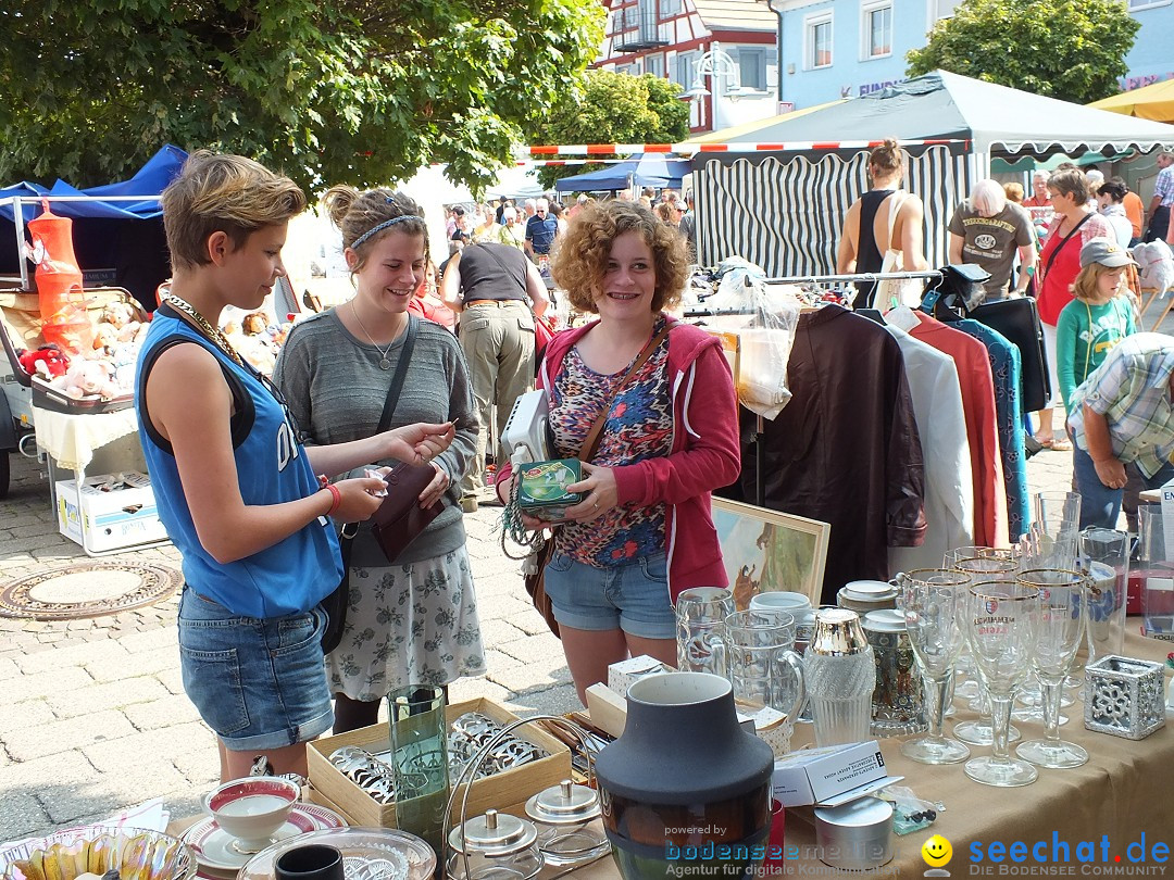 Herbstfest mit Flohmarkt: Bad-Buchau am Bodensee, 31.08.2013