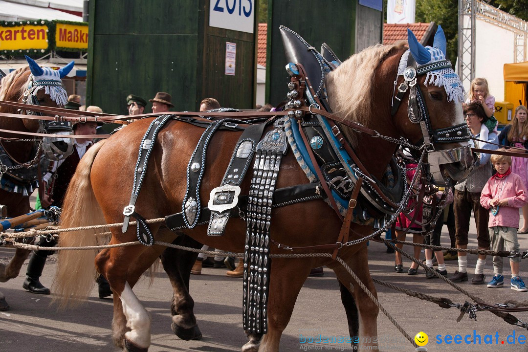 Trachtenumzug-Oktoberfest-Muenchen-22-09-2013--Bodensee-Community-SEECHAT_de-YX4M8574-1.jpg