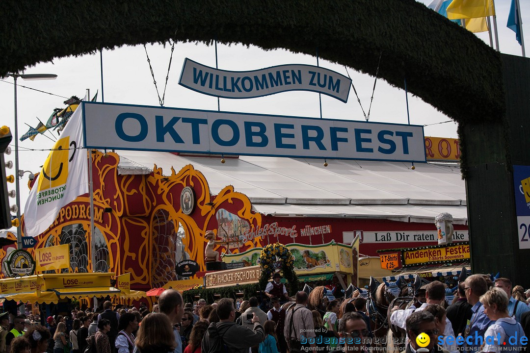 TT2-Trachtenumzug-Oktoberfest-Muenchen-22-09-2013--Bodensee-Community-SEECHAT_de-YX4M8499-1.jpg