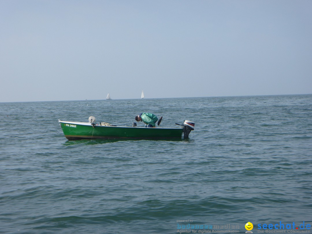 Liquid Quarter Mile Interboot: Friedrichshafen am Bodensee, 24.09.2013