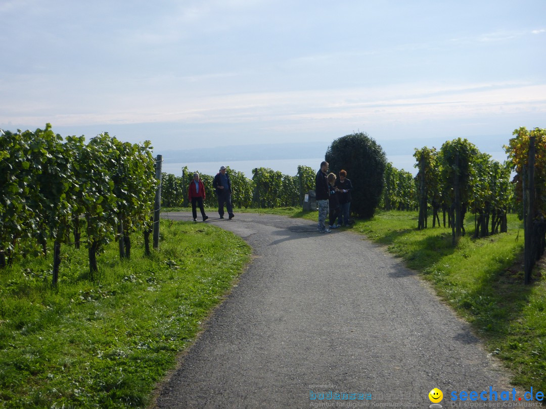 Tag der Deutschen Einheit: Meersburg am Bodensee, 03.10.2013